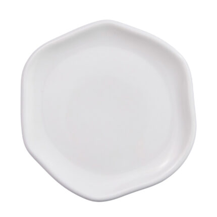 PLATO PANDO 29.5CM ACTUALITE ANCESTRAL