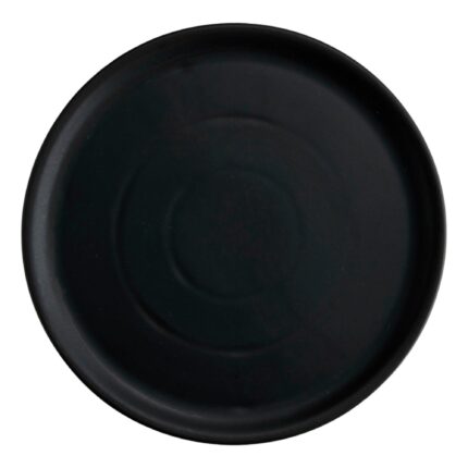 PLATO PIZZA 33.6CM PLUTO REACTIVO